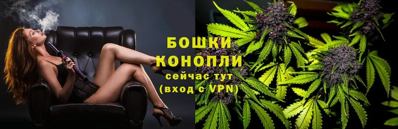 мега онион  Ковылкино  Каннабис THC 21% 